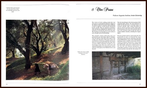 Pages 286-287